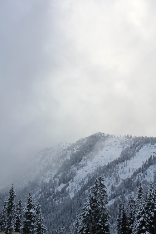 travelthisworld:  Stevens Pass, Washington | USA (by iamfs-c)