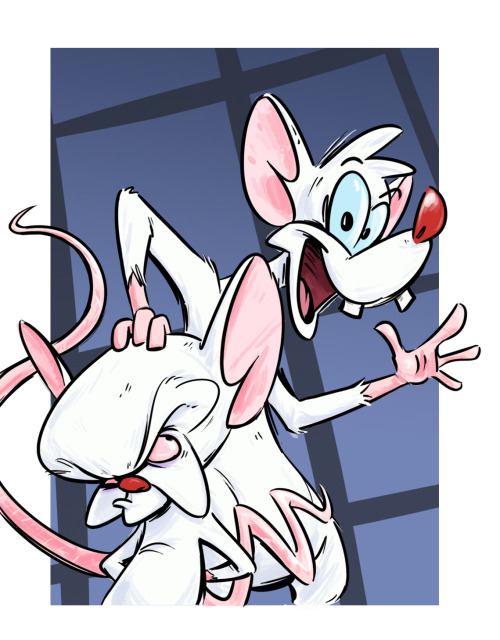 Gee Brain, whaddya wanna do tonight?  NARF!(CANNOT BELIEVE THIS IS GETTING REVIVED!) Please follow m