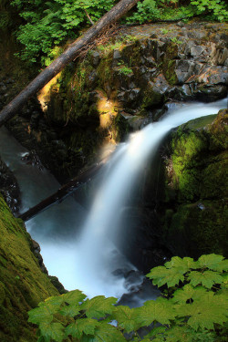 outdoormagic:  Sol Duc Falls, Olympic National Park by Alaskan Dude on Flickr.