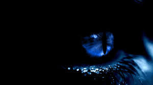 "Your secrets are safe with my indifference."
