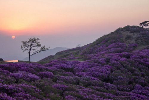 fuckyeahjapanandkorea: South Korea (by damiengabrielson.com)