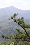 Gratto Falls today in Tennessee with @katiiie-lynn porn pictures