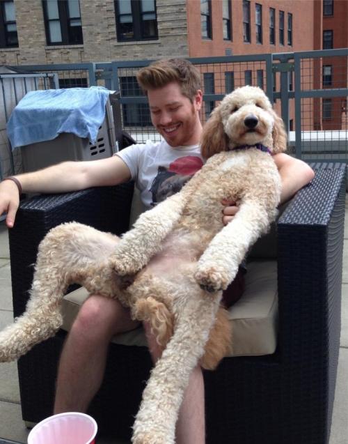 dumpster-rat:  scxmbvg:  BIG DOGS THAT THINK THEY’RE SMALL LAP DOGS ARE MY FAVORITE DOGS IN THE ENTIRE WORLD   Every dog is a lap dog