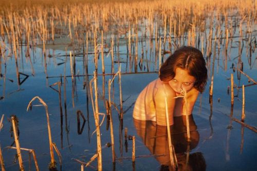 admiredphotographers - Ryan McGinley. Susannah (swamp sticks),...