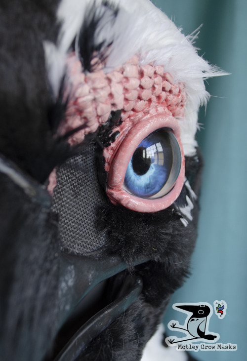 An african penguin mask - commissioned, not for sale. Features punched feathers on the eyebrows, and