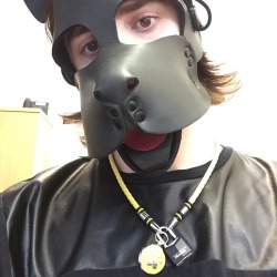 pupnobley:  puppixel:  A few weeks ago I mentioned to Kate that I was going to get myself a collar I could wear everyday, something I could wear all the time to represent my pup identity. Of course she offered to get one for me. That makes it all the