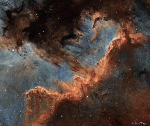 looking-at-the-universe:Cygnus Wall