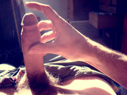 biblogdude:  wiscthor2:  Erection in the SunSee more of me at http://wiscthor2.tumblr.com/   Let me lick that dew off