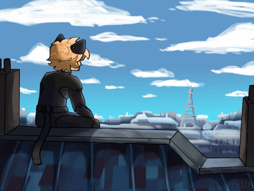 Little Kitty On A Roof, All Alone Without His Lady