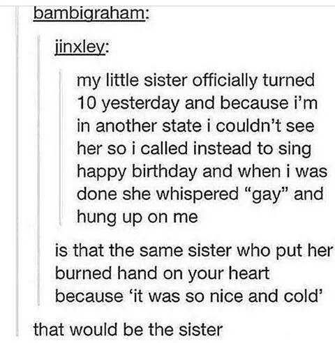 itsstuckyinmyhead:  Siblings and Tumblr 