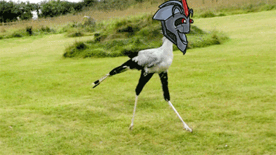blackwingvei:  Based on a post I sore the other day. hahahahahalook at him run. 