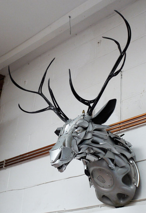 asylum-art:Old Hubcaps Recycled Into Stunning Animal Sculptures by Ptolemy ElringtonFor over twelve 