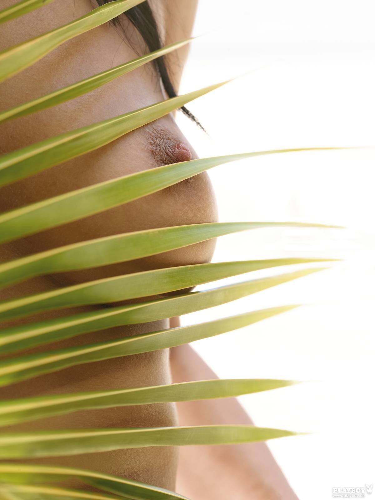 tanlines4me:  Stefanie Spleiss