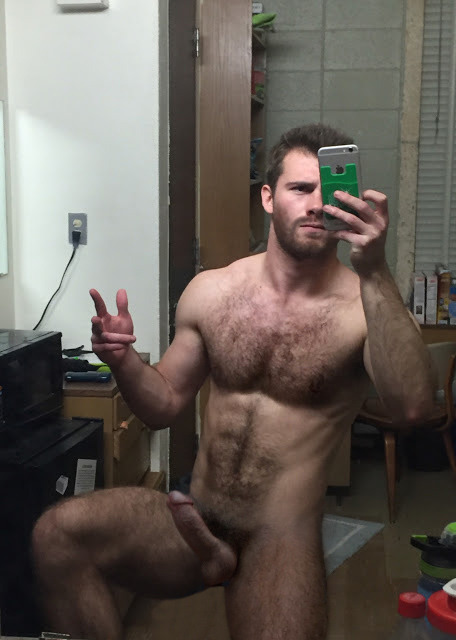 Bears, Cubs, and Cocks