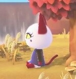 milknjuice: trunktonmayor:  achhd-fashionproject:    SLEEVES CONFIRMED  What’s even more interesting about this is the fact that Eunice is wearing a sweater. Which means Sheep villagers aren’t grounded to scarves anymore!   i genuinely love seeing