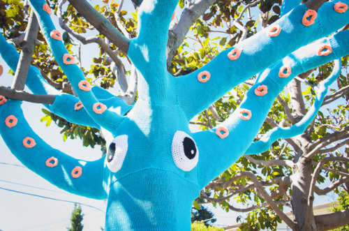 dreamalittlebiggerblog:  Check out this yarn bombed squid tree that used 4 miles of yarn from The Da