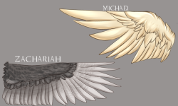 sideburns-and-trenchcoats:  jesus christ. finally done with this Anyway, here is my headcanon of the angel’s wings~ this made me very happy. so many wings. mhpmhm pmh  