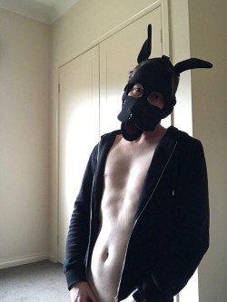 illburymybone:  This cold weather calls for a more cuddly puppy.