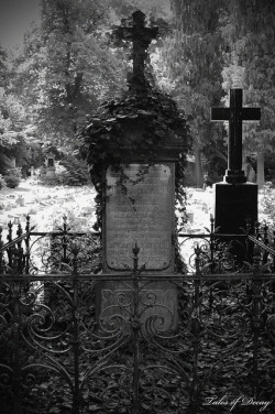 redwolf518:  Melaten Cemetery Cologne by