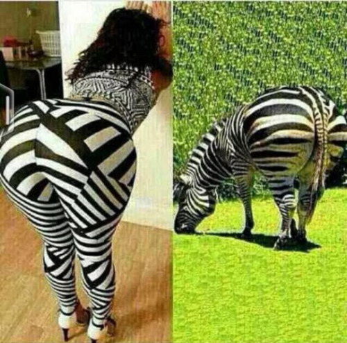 reactionfeed - Who wore that zebra’s ass best?