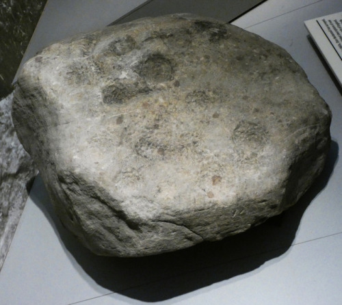 Stone Age and Bronze Age rock art in Northumberland, Great North Museum, Hancock, Newcastle-upon-Tyn