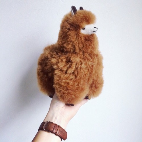 ITS SO FLUFFY