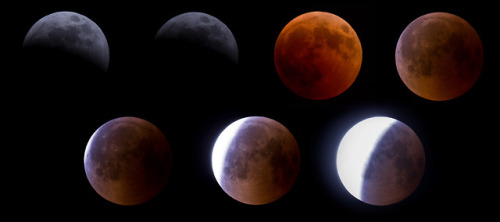 space-is-looking-back-at-us: Full Lunar Eclipse 2018 CollageFound here