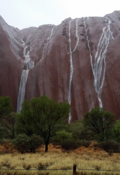 A rare rainfallUluru, that grand tan sandstone monolith gracing the desert wastes of Central Austral