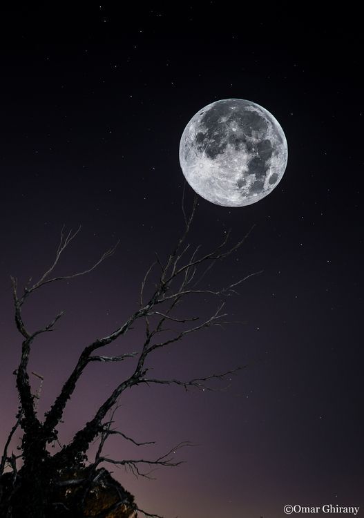 gravitationalbeauty:  Super Moon by Omar Ghirany