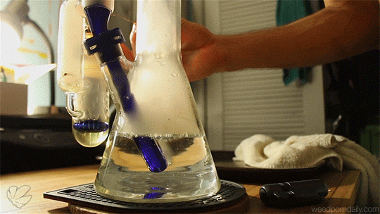 weedporndaily:on and on till the break of dawn (x)