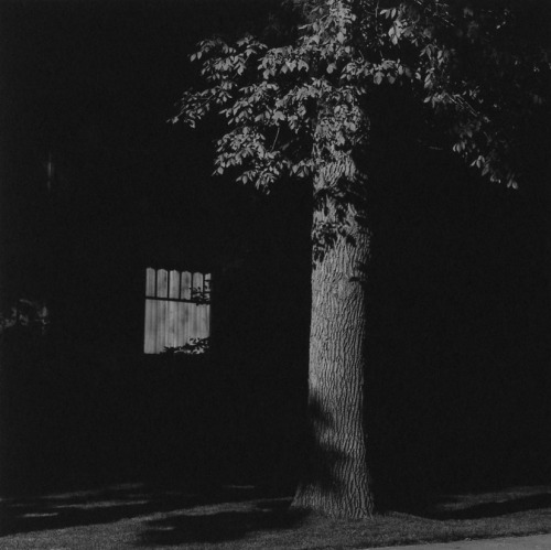 inpraiseofphotos:Summer Nights - Robert Adams