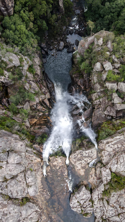 geologicaltravels:2020: Carrington Falls, in the Budderoo National Park, drops off the Illawarra Esc