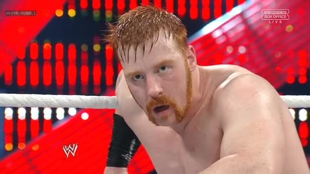 dixiewildflower:  Sheamus’ sex hair from last night.