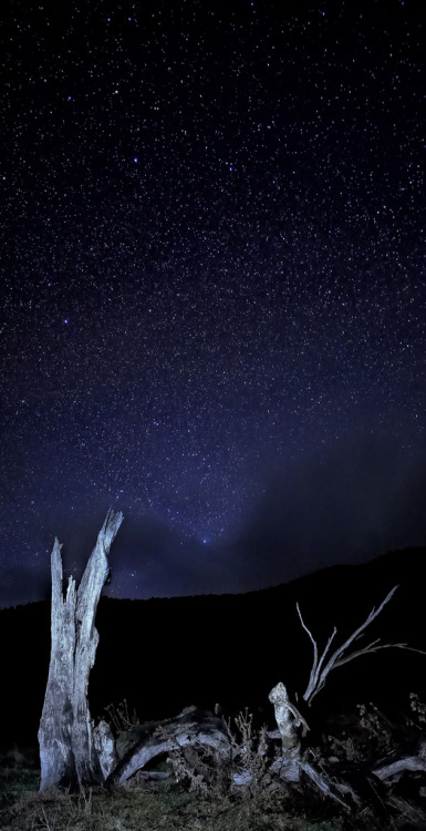 galaxyshmalaxy:A night under the stars pt 1 (by Stanley Kozak)