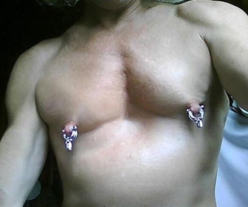 https://nipplepigs.tumblr.com/post/180626314537