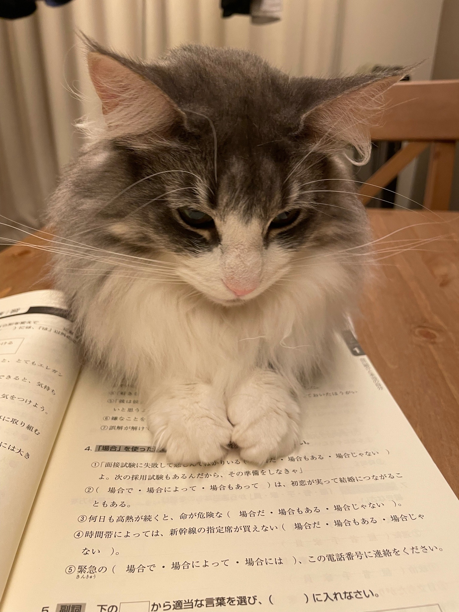 勉強 Explore Tumblr Posts And Blogs Tumgir 勉強 Explore Tumblr Posts And Blogs Tumgir