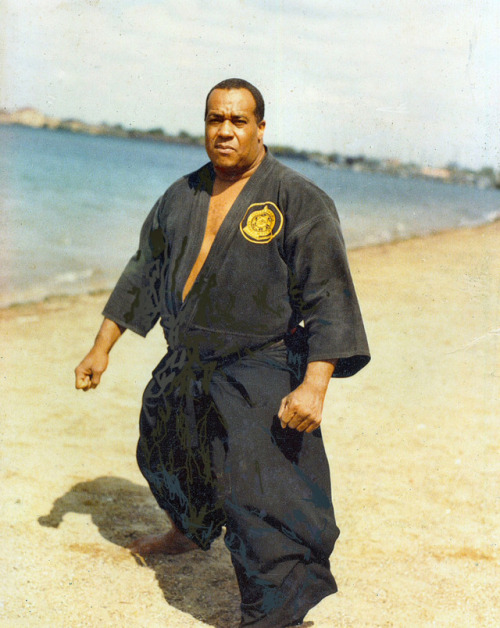 The Forgotten Fury: 12 Legendary Black Martial Arts Masters You Need to Know Like their Negro League