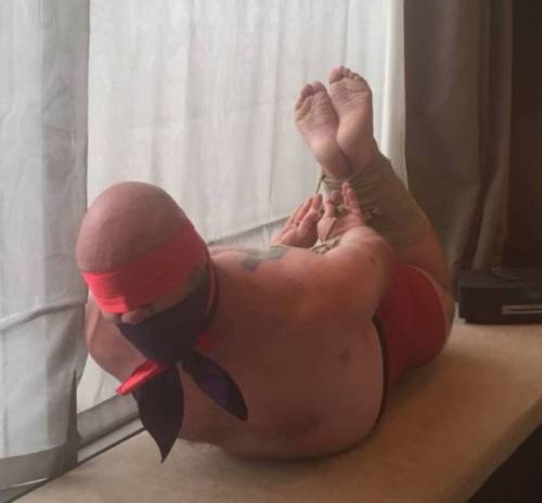 Perfect hogtie, the arms are pulled backwards to the point when his spine is painfully bent and only