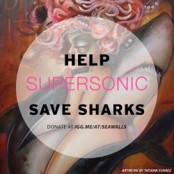 supersonicart:  PangeaSeed’s “Sea Walls Expeditions: Murals for Oceans.” Who doesn’t love saving Sharks and other beautiful aquatic wildlife with art? I’m beyond excited to announce that Supersonic is officially part of the latest, incredible,