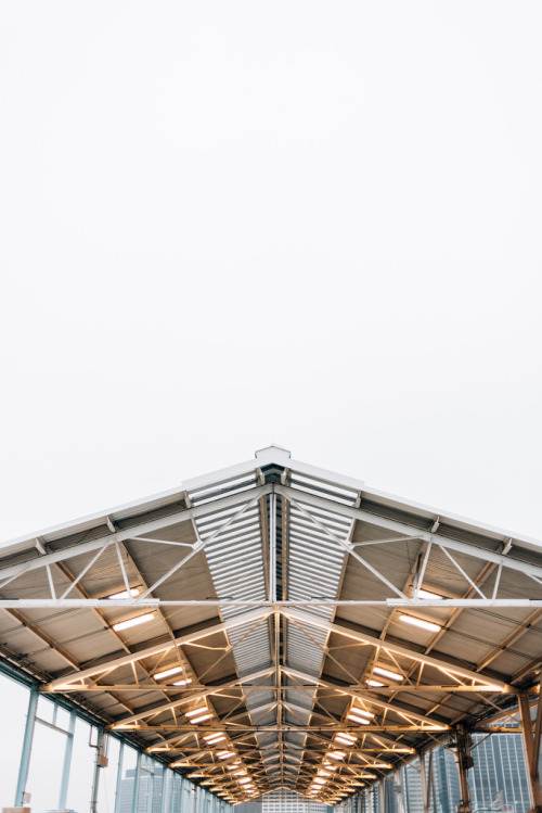 joelzimmer:   Flight / Fog  Brooklyn Bridge Park, Brooklyn 