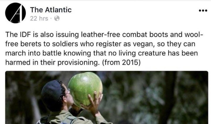ranty9000: keyhollow:   freepalestine:   lordwaily:  jaehaerys1:  ironpour: -_- 