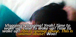 amazingemmaisonfire:  mysuperawkwardblog:this is adorable  Is it pathetic that I