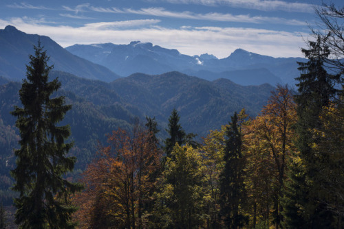 elvenforestworld: Rothwald virgin forest, the biggest remain of untouched woodland in the Alps and i