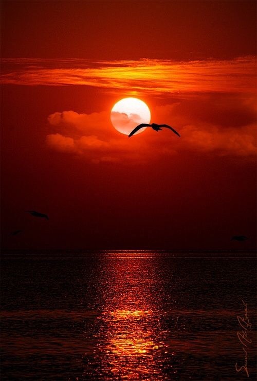 vcengland: So peaceful…..