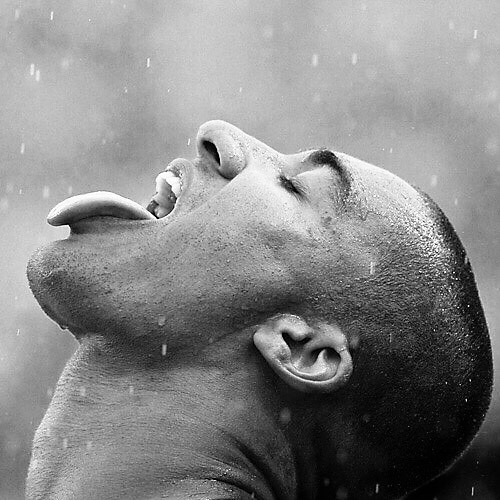 benrugodo: sed  tumblr benrugodo