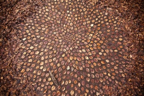 bubblewrench: Artist James Brunt Arranges Leaves and Rocks Into Elaborate Mandalas that first one lo