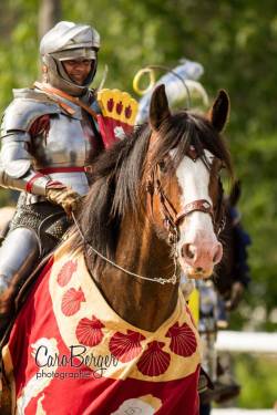 foxy-nerdy:  Caroline Labrie, jouster