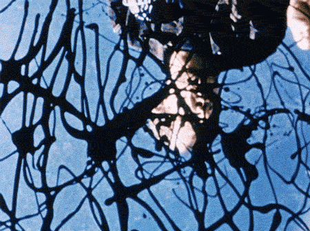 themaninthegreenshirt:  Jackson Pollock