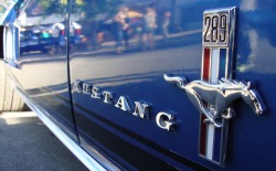 americanclassicmusclecars:  Mustang