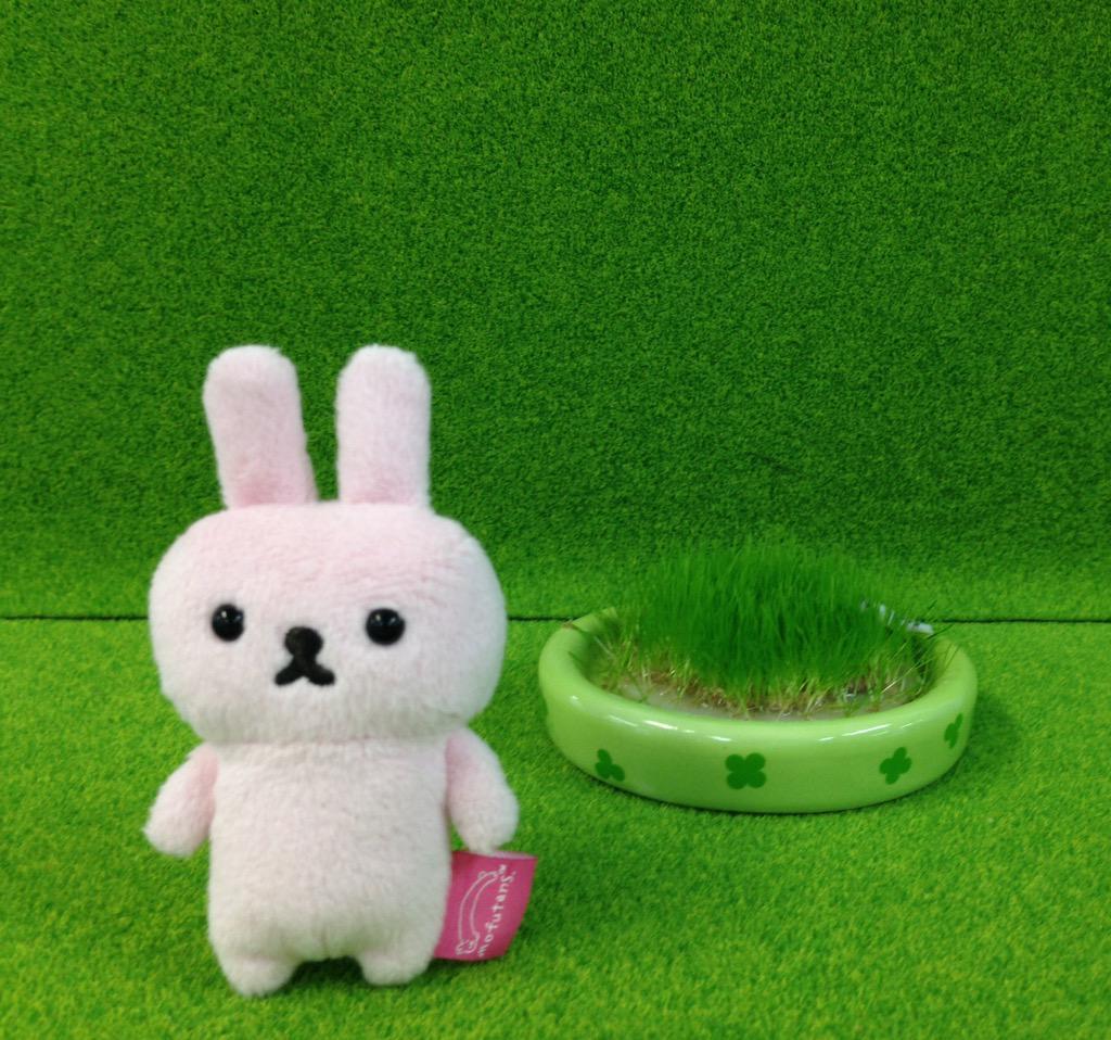 iheartrilakkuma:  Mofutan - Ikimonogakaricr: Mofutan Twitter